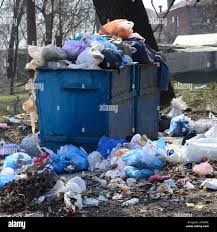 Best Dumpster Rental Services  in Round Lake Heights, IL